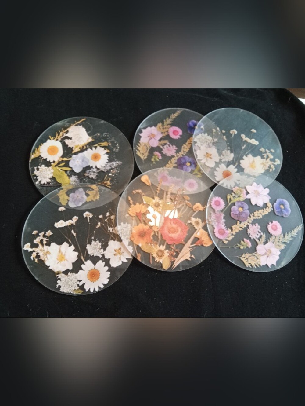 Set of 6 Floral Pressed-Flower Round Coasters - Clear with Multicolor Flowers